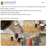 लखनऊ: डीजीपी प्रशांत कुमार ने अपने पालतू डॉगी ‘नेमो’ को दी भावभीनी विदाई, एक्स पर शेयर किया भावुक संदेश