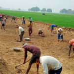 संसदीय समिति ने मनरेगा में व्यापक सुधार की उठाई मांग