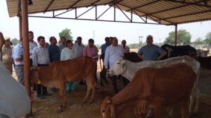 अलीगढ़ में गौ आश्रय स्थलों का निरीक्षण: प्रबंध&hellip;
