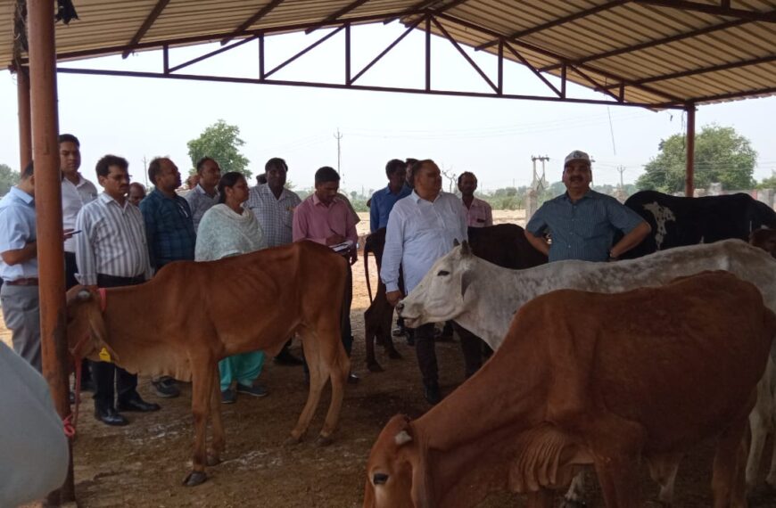 अलीगढ़ में गौ आश्रय स्थलों का निरीक्षण: प्रबंध&hellip;