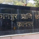 कानपुर चिड़ियाघर में गोरखपुर से लाए गए शेर ‘पटौदी’ की मौत, बर्ड फ्लू की आशंका, भोपाल भेजे गए जांच के नमूने