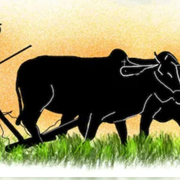 किसानों के खातों में पहुंचा 15 साल पुराना&hellip;