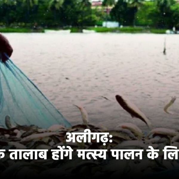 अलीगढ़: 68 ग्रामों के तालाब होंगे मत्स्य पालन&hellip;