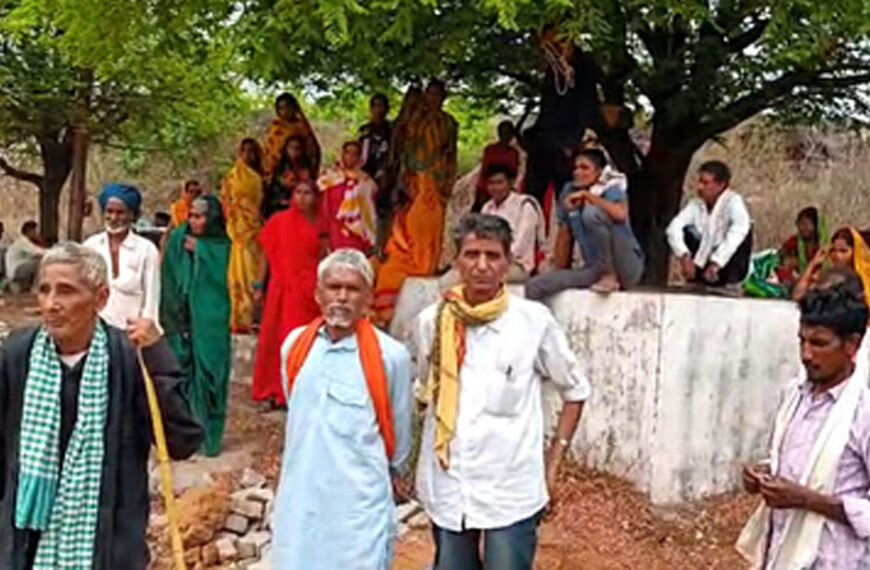 सोनभद्र में फूल के पौधे…