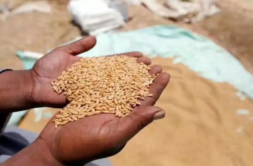 अलीगढ़: गेहूं खरीद की धीमी गति पर प्रमुख सचिव सख्त, किसानों के दरवाजे पर पहुंचेगी खरीद टीम