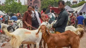 अलीगढ़: ईद-उल-अजहा को लेकर नगर निगम सतर्क, आयुक्त&hellip;