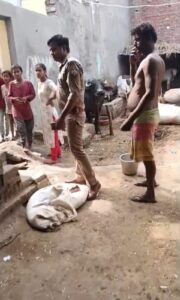 अलीगढ़ में अवैध शराब के खिलाफ कार्रवाई, 25&hellip;