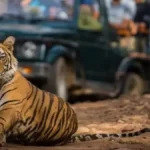 लखनऊ: उत्तर प्रदेश के नेशनल पार्क और टाइगर रिजर्व 15 जून से 31 अक्टूबर तक बंद