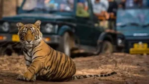 लखनऊ: उत्तर प्रदेश के नेशनल पार्क और टाइगर…