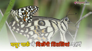 पूर्वी दिल्ली में बनेगा मयूर नेचर पार्क: यमुना&hellip;
