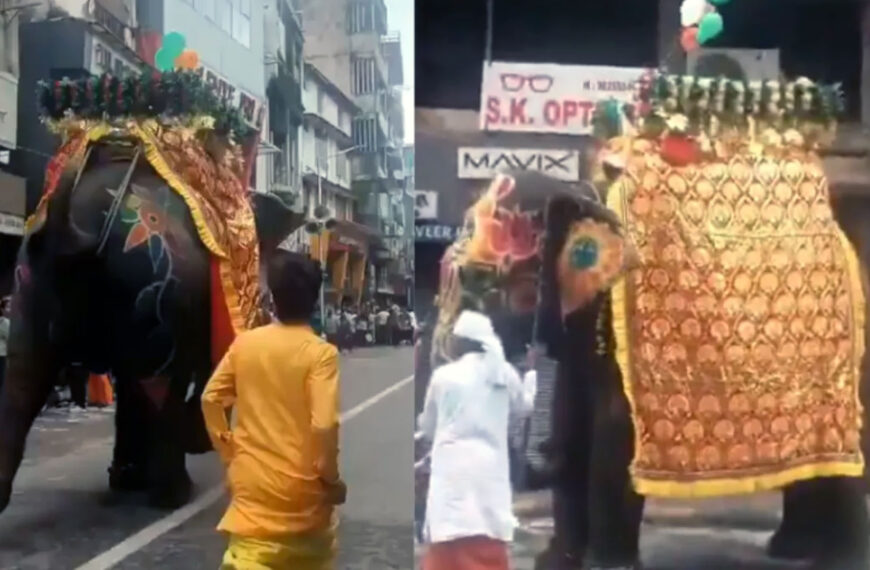 अहमदाबाद: DJ की तेज आवाज से बेकाबू हुए हाथी, जगन्नाथ यात्रा में मची अफरातफरी, 4 घायल