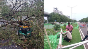 ग्रेटर नोएडा में आंधी-बारिश, कई जगह गिरे पेड़&hellip;
