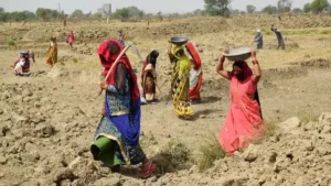 मनरेगा में फर्जी हाजिरी से बजट की बंदरबांट,…