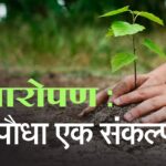 पर्यावरण की रक्षा के लिए जैन समाज ने चलाया वृक्षारोपण अभियान