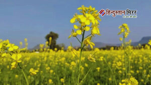 अलीगढ़: सरसों की फसल के लिए रामबाण साबित…