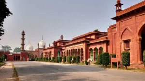 AMU ने India Today 2025 रैंकिंग में मज़बूत…