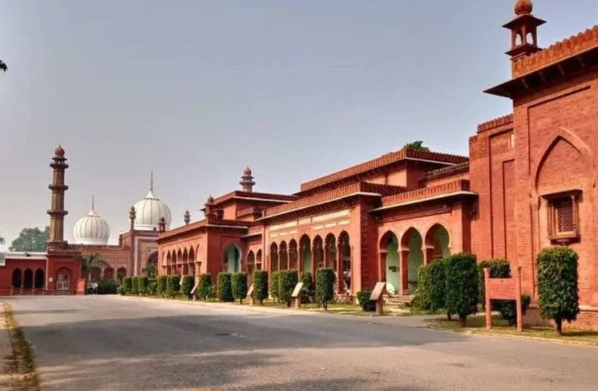 AMU ने India Today 2025 रैंकिंग में मज़बूत स्थान हासिल किया