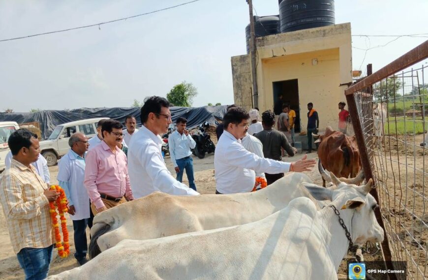 अलीगढ़: नगला ओगर राजू गौसंरक्षण&hellip;