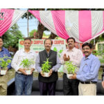 एएमयू संस्थानों में स्वच्छता पखवाड़ाः ग्रीन कैंपस अभियानों और कर्मचारियों के सम्मान के साथ मनाया गया