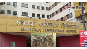 अस्पताल में चूहों के काटने से दो नवजातों&hellip;