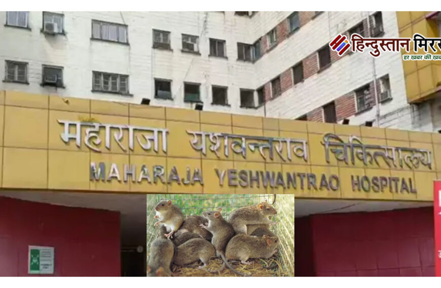 अस्पताल में चूहों के काटने…