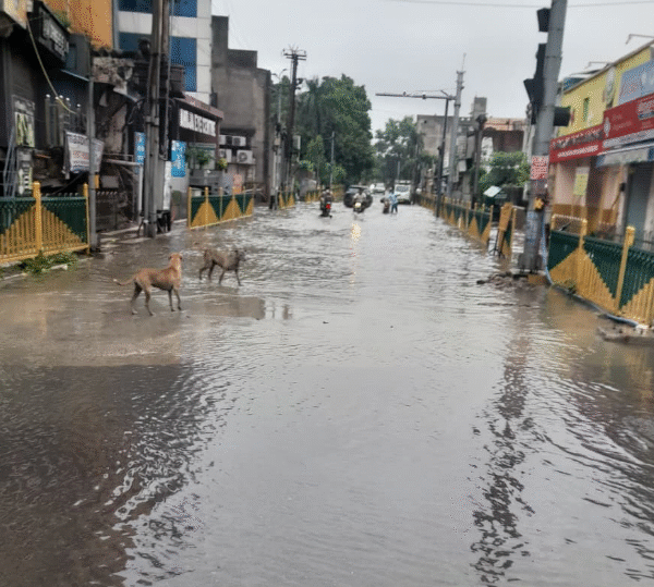 अलीगढ़ में झमाझम बारिश से जनजीवन अस्त-व्यस्त