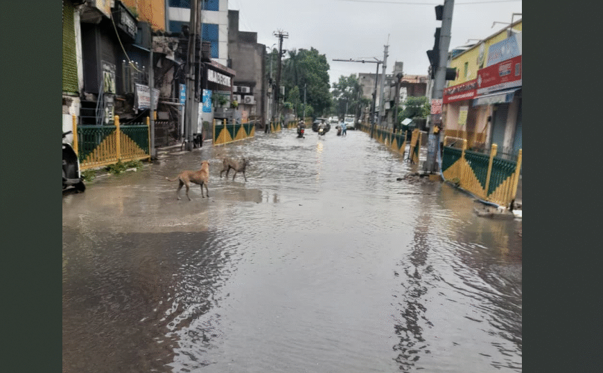 अलीगढ़ में झमाझम बारिश से&hellip;