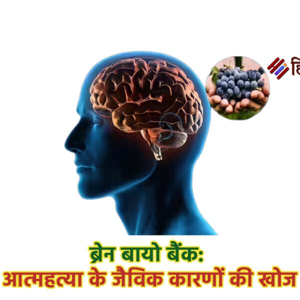 ब्रेन बायो बैंक: आत्महत्या के जैविक कारणों की…