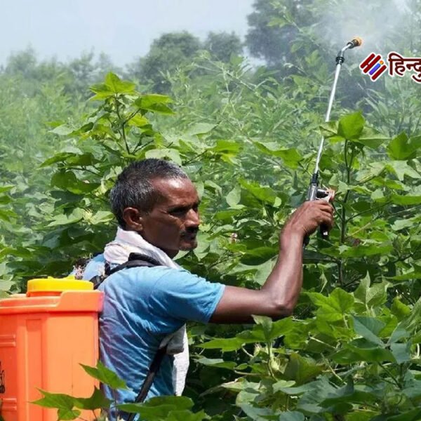 अलीगढ़ सहित 30 जिलों में बासमती धान पर&hellip;