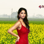 शाहरूख खान की बेटी सुहाना खान की जमीन खरीद पर होगी जाँच शुरू