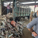 अलीगढ़: नगर आयुक्त ने 30 ट्रक सिंगल यूज प्लास्टिक को कराया नष्ट