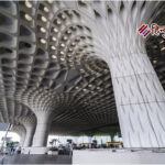 मुंबई एयरपोर्ट पर कस्टम की बड़ी कार्रवाई: 19.78 करोड़ की हाइड्रोपोनिक वीड जब्त, तीन गिरफ्तार