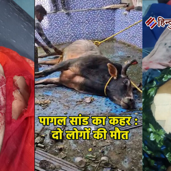 अलीगढ़ में पागल सांड का कहर : दो&hellip;