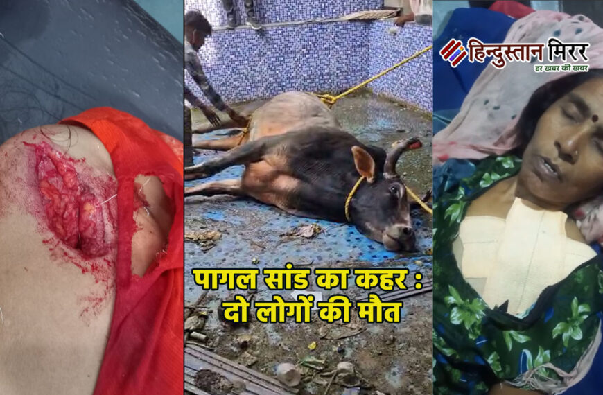 अलीगढ़ में पागल सांड का…