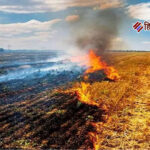 पराली जलाने वालों पर सख्त कार्रवाई: पंजाब में पेंशन और सरकारी सुविधाएं होंगी बंद