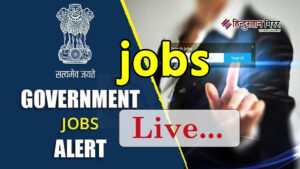 बंपर सरकारी नौकरियां: वार्डर, सेना, मैनेजर और सीनियर&hellip;