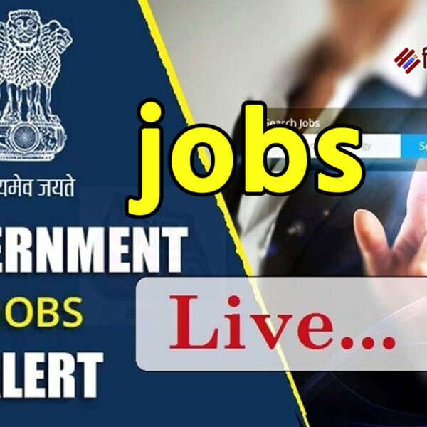 बंपर सरकारी नौकरियां: वार्डर, सेना, मैनेजर और सीनियर…