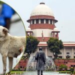 लिवर ट्रांसप्लांट अनुमति पर हाईकोर्ट का निर्देश, आवारा कुत्तों के मामले में सुप्रीम कोर्ट सख्त