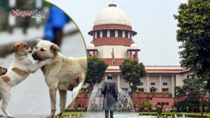 लिवर ट्रांसप्लांट अनुमति पर हाईकोर्ट का निर्देश, आवारा&hellip;