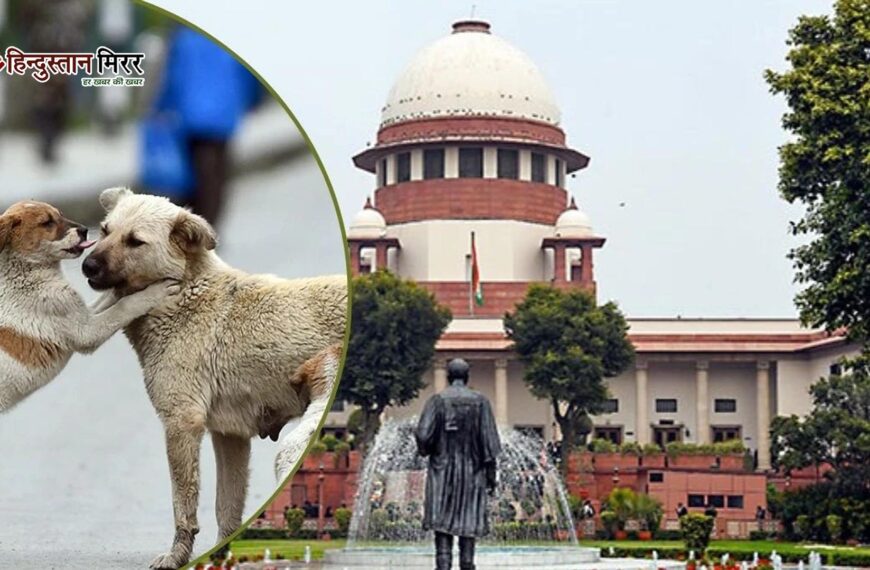 लिवर ट्रांसप्लांट अनुमति पर हाईकोर्ट…