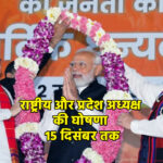 भाजपा में नए राष्ट्रीय और प्रदेश अध्यक्ष की घोषणा 15 दिसंबर तक