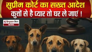 आवारा कुत्तों से प्यार है तो घर ले&hellip;