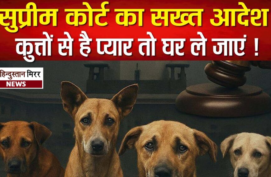 आवारा कुत्तों से प्यार है&hellip;