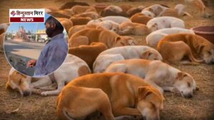 बेजुबानों से कैसी दुश्मनी! चुनावी वादा निभाने के&hellip;