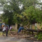 यूपी में आंधी-बारिश का कहर: 13 की मौत, 58 जिलों में अलर्ट जारी