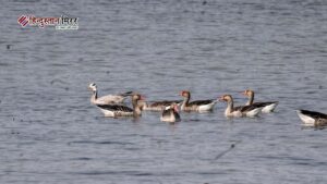 शेखा झील बनी अंतरराष्ट्रीय पहचान का केंद्र, रामसर&hellip;