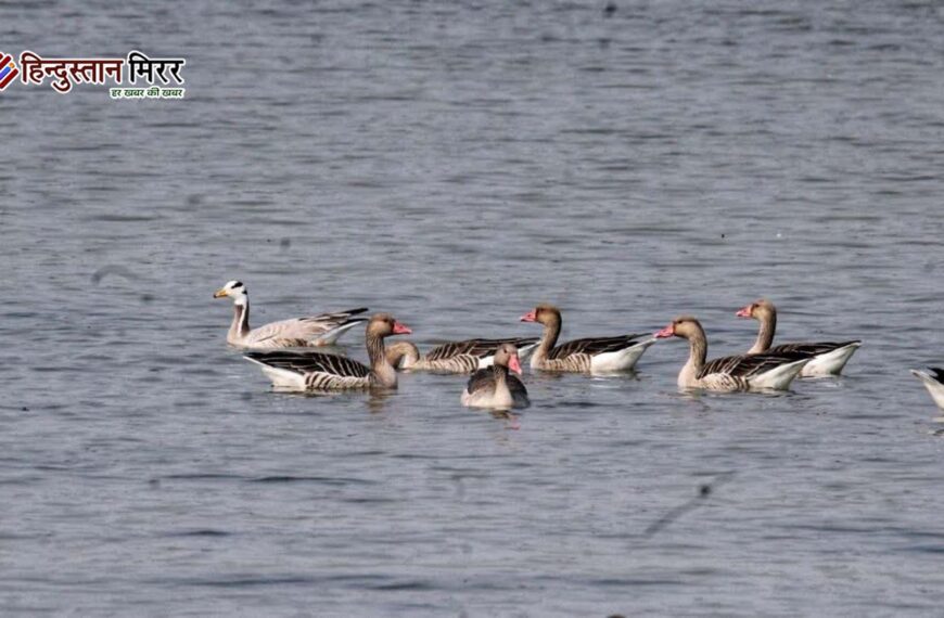 शेखा झील बनी अंतरराष्ट्रीय पहचान का केंद्र, रामसर स्थल घोषित
