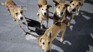 9 कुत्तों पर क्रूरता करने वाले मालिक को&hellip;