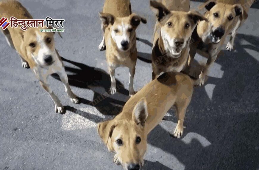 9 कुत्तों पर क्रूरता करने वाले मालिक को हाईकोर्ट से बड़ा झटका, पशुओं के अधिकारों पर ऐतिहासिक फैसला
