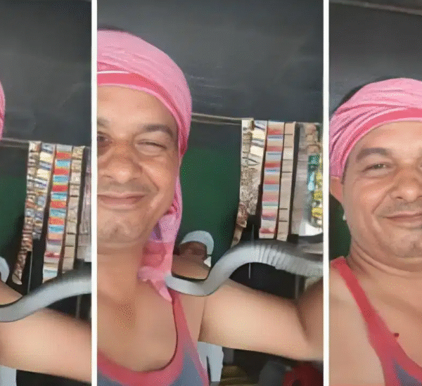 रील के चक्कर में गले में डाला जहरीला&hellip;
